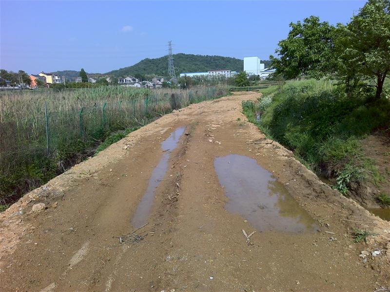 江宁街道土地31亩最低价出租了